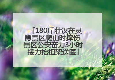 180斤壮汉在灵隐景区爬山时摔伤 景区公安奋力3小时接力抬担架送医