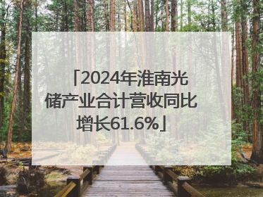 2024年淮南光储产业合计营收同比增长61.6%