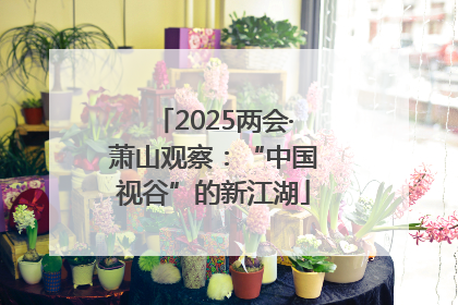 2025两会·萧山观察：“中国视谷”的新江湖