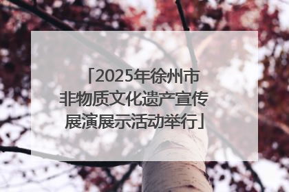 2025年徐州市非物质文化遗产宣传展演展示活动举行