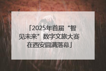 2025年首届“智见未来”数字文旅大赛在西安圆满落幕