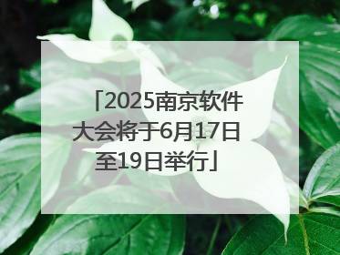 2025南京软件大会将于6月17日至19日举行