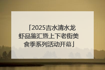 2025吉水清水龙虾品鉴汇暨上下老街美食季系列活动开幕