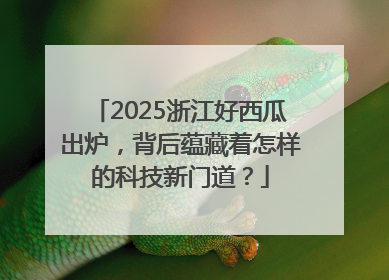 2025浙江好西瓜出炉，背后蕴藏着怎样的科技新门道？