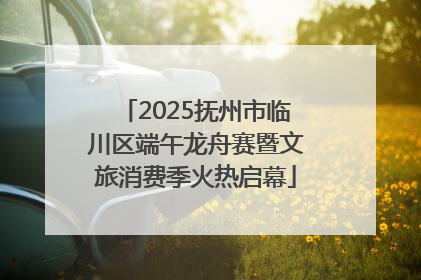 2025抚州市临川区端午龙舟赛暨文旅消费季火热启幕