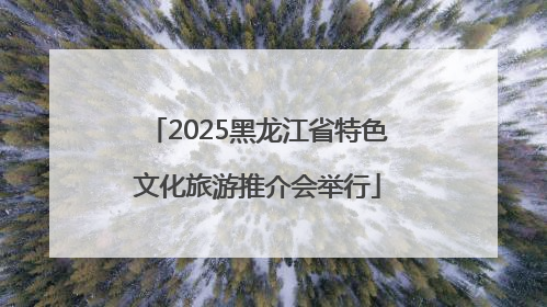 2025黑龙江省特色文化旅游推介会举行