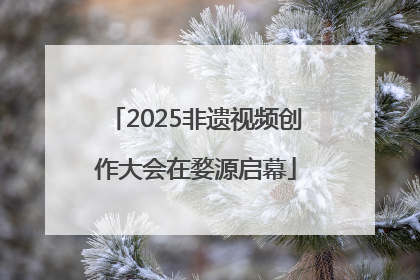 2025非遗视频创作大会在婺源启幕