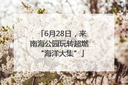 6月28日，来南海公园玩转超燃 “海洋大集”