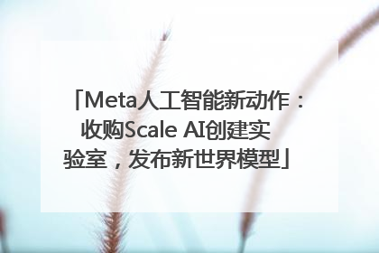 Meta人工智能新动作：收购Scale AI创建实验室，发布新世界模型